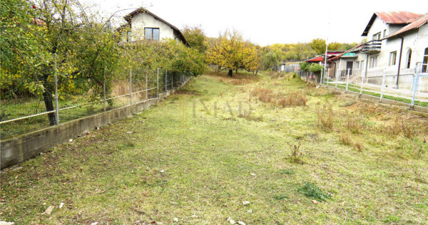 9.000 MP DE LINI#536;TE, NATUR#258; #536;I OPORTUNITATE &ndash; AN