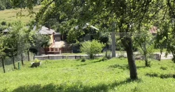 Teren intravilan, 1000 mp, zona Centrală - Băbana