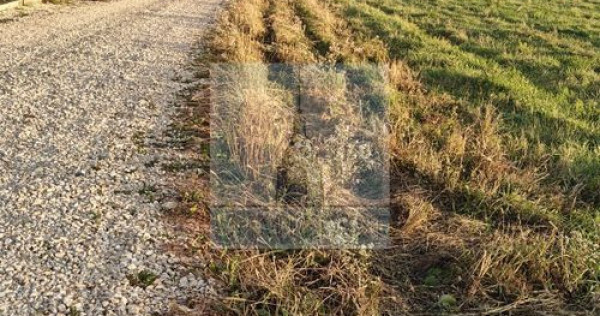Teren intravilan de v&acirc;nzare/ Stupini