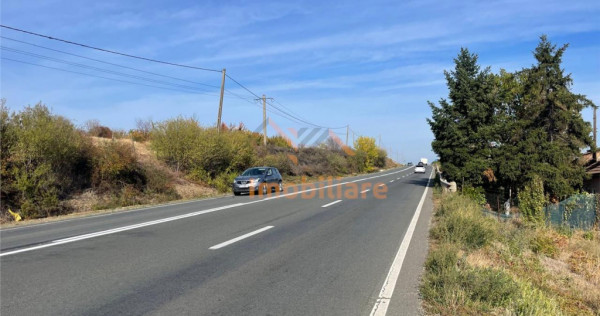 TEREN | 5682MP | LA INTRARE IN LES | ACCES DIN DN79 | BIHOR