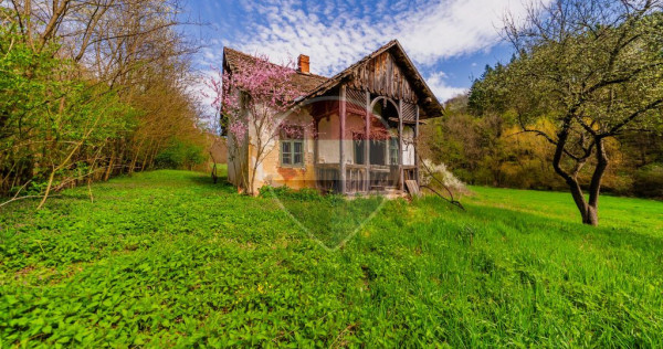Casă de vacanta intr-o locatie de vis de vanzare in Carand,Romania