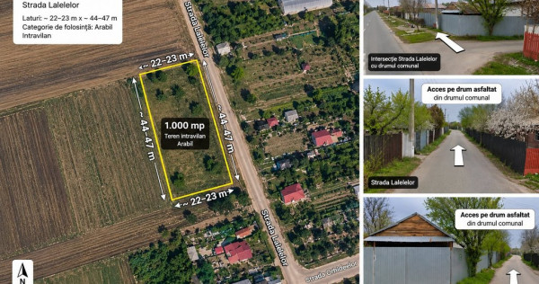 Lot de casa 1000 mp Grădiștea Comana