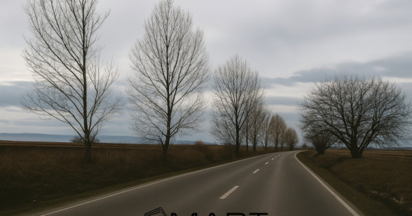 Teren intravilan 10.000mp la drum Calea Surii Mici