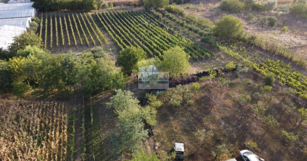 Teren intravilan Tecuci/Podgorie si Pomi Fructiferi/5000 mp