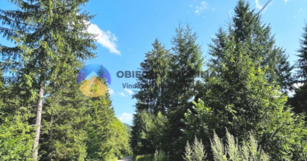 Teren TARCǍU - SCHITU judetul NEAMȚ