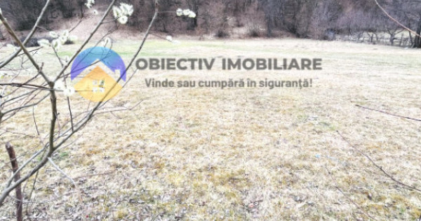 TEREN zona de munte TARCAU