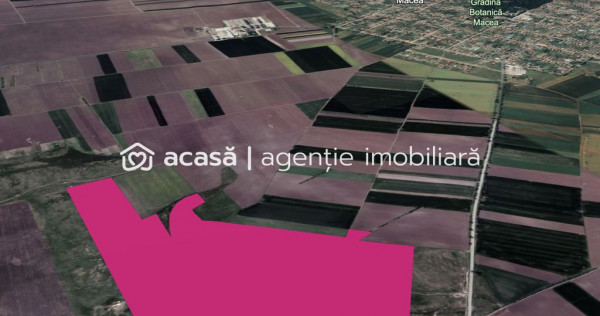 Teren 42 ha pentru parc fotovoltaic &ndash; Macea, Arad