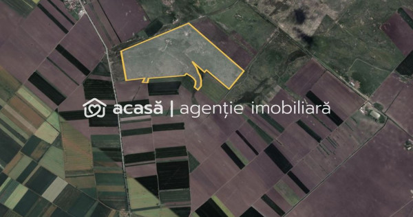 Teren 42 ha pentru parc fotovoltaic &ndash; Macea, Arad