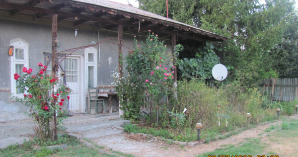 Casa taraneasca Uzunu, Giurgiu