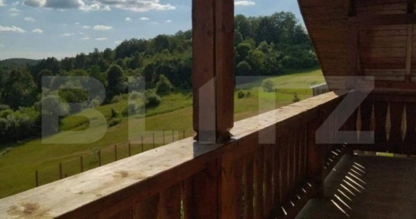 Cabana de vanzare in Stramba