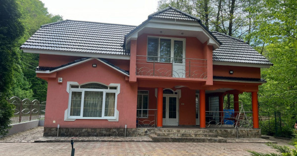 Casa Padurea Neagra Bihor