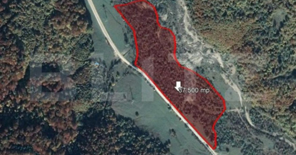 Teren 37.500 mp, Valea Zizinului