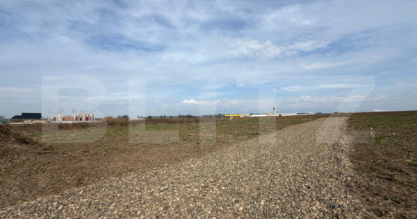 Parcele , 533 mp , intravilane , zona noua Itcani