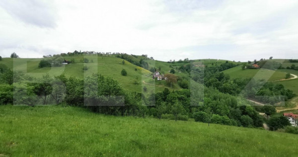Teren, 12.928 mp, Poiana Mărului, Brașov