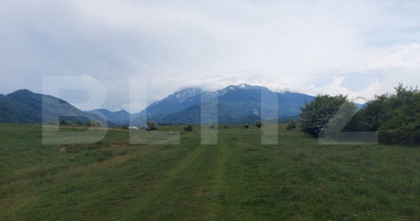 Teren de vanzare in Rasnov zona Glejerie, 10.000 mp