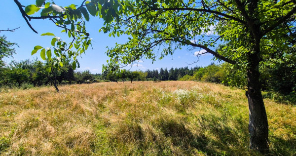 Teren intravilan Cotmeana Arges