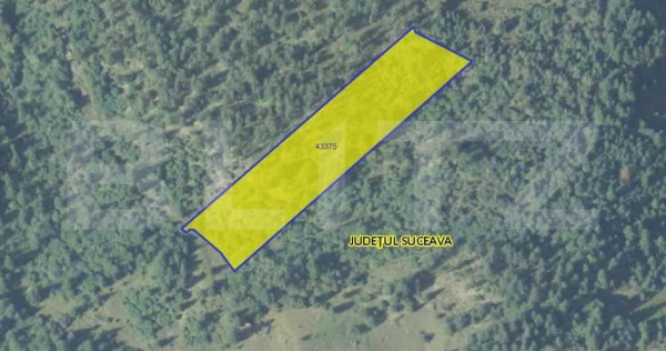 Teren 11.144 mp, pădure, Campulug Moldovenesc