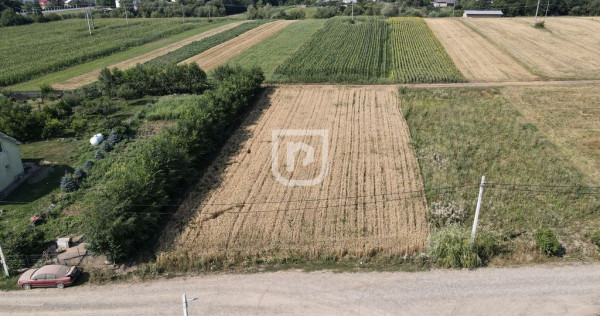 Teren 2000mp INTRAVILAN | Ilisesti | Bucovina