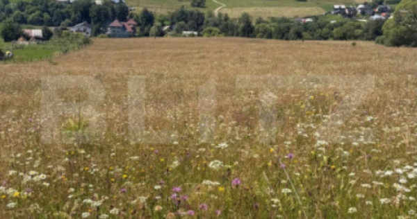 Teren extravilan, 5 hectare, Șaru Dornei