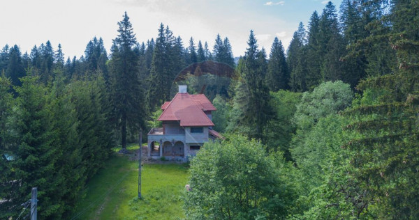 Locuinta permanenta sau casa de vacanta !!! Brasov, Timis...