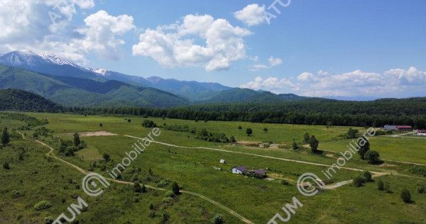 Teren intravilan de in Avrig zona Valea Avrigului