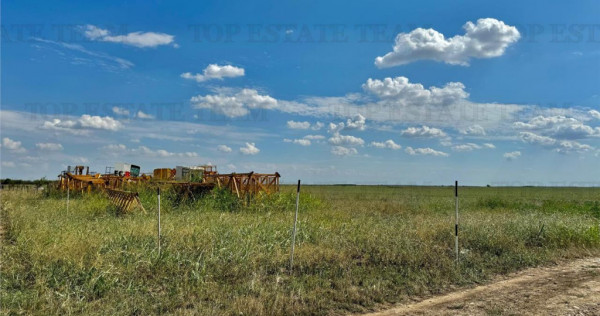 Teren 64 de parcele de / Teren de investitie / Frumusani /