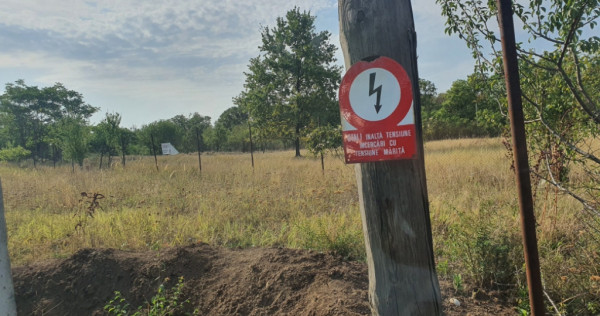 Teren intravilan 2000 mp în Boldesti, str. Padurii