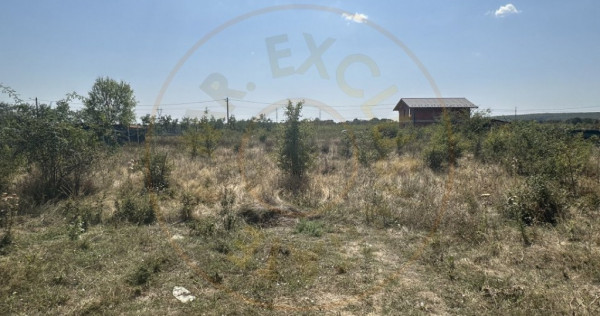 Teren Intravilan Magic Trivale - Aleea Bradului 1040 mp