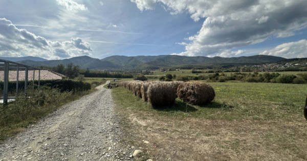 Teren 11000MP aproape de liziera padurii in Tocile