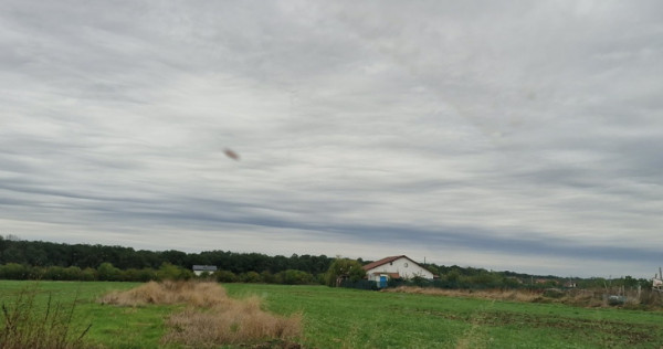 Teren intravilan 520mp in Balotesti,langa padure