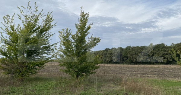 Teren intravilan 520mp Valea Ursului cu vedere la Pădure