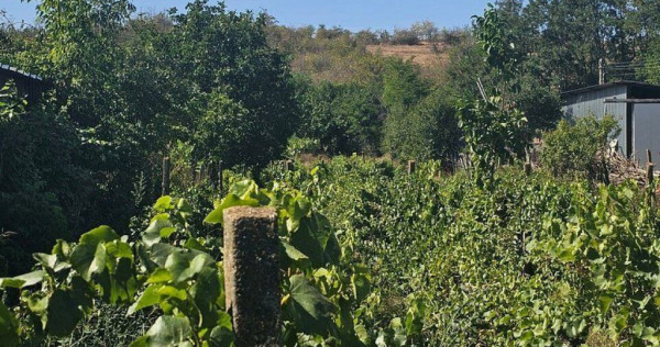 Teren 1800 mp + casa batraneasca - Fartanesti, jud. Galati