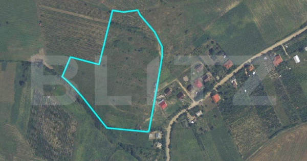 Teren intravilan de 3,6 ha, Tomesti