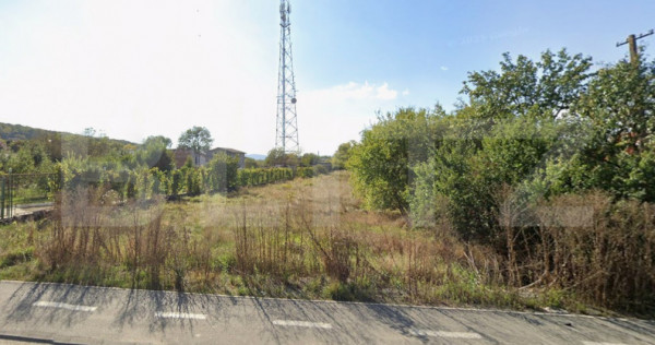 Teren de v&acirc;nzare &ndash; Valea Ghinzii, 950 mp