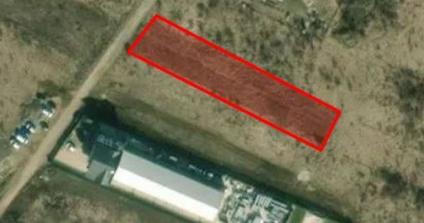 Teren Industrial acces dublu Magurele si Centura Bucurest...