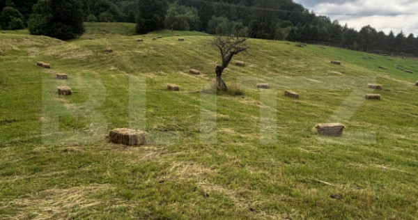 Teren intravilan, Bucșoaia - Frasin, 9000 mp