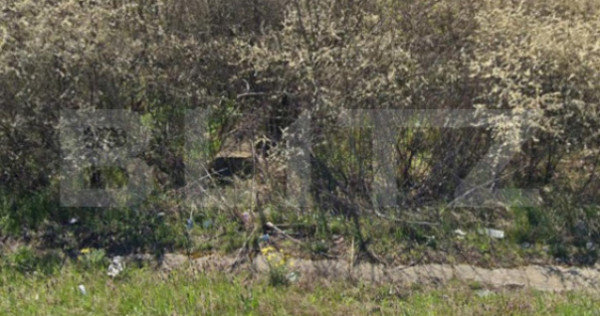 Teren 5117 mp intravilan, zona de Almaj