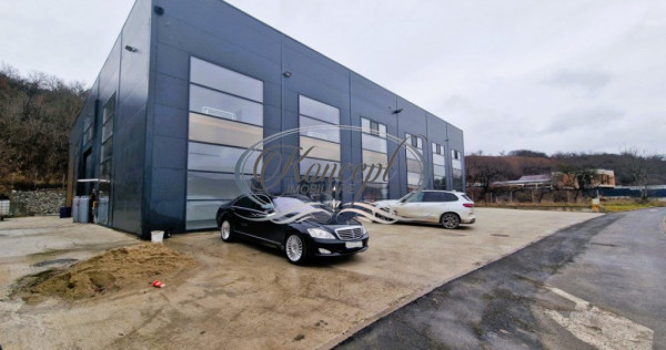 Spatiu comercial, ideal pentru showroom, in Baciu