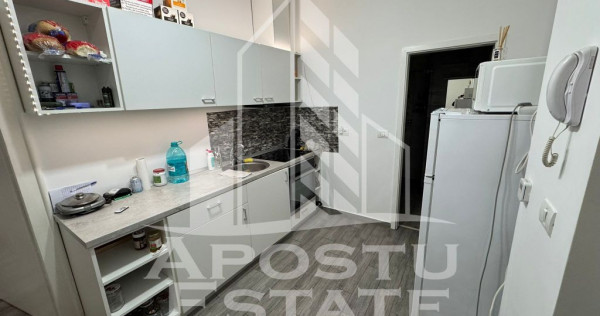 Apartament la curte, zona Simion Barnutiu/Take Ionescu