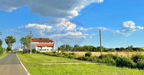 De vânzare pensiunea "Casa Albă" Pecica/Arad.