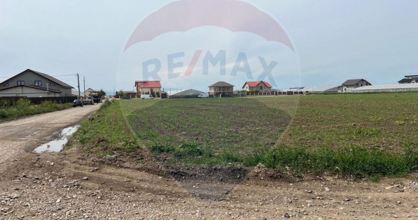 Teren intracilan Matca / Strada Grigore Antipa