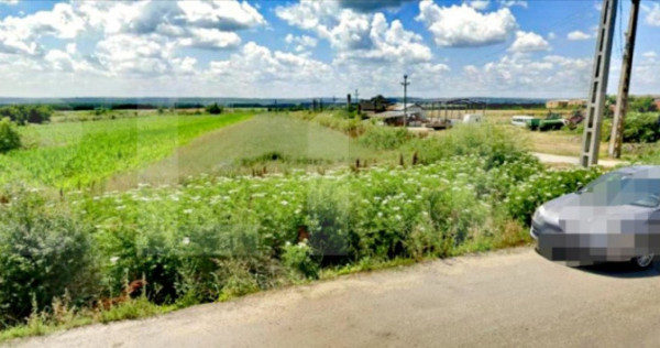 Teren intravilan 5300 mp, la DE 79, pretabil investitie in B