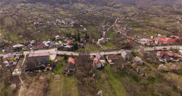 FILM! Casa pe domeniu de 3.117 mp, Viperesti Buzau