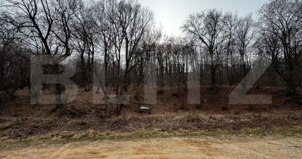 Teren intravilan de vanzare, 1872 mp, zona Valea Popii - Alb