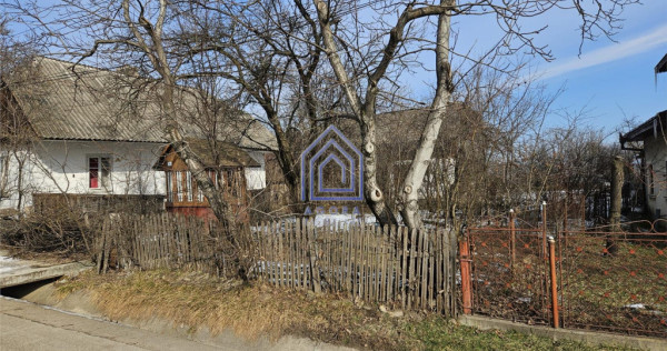 Teren central, Ilisesti, Suceava