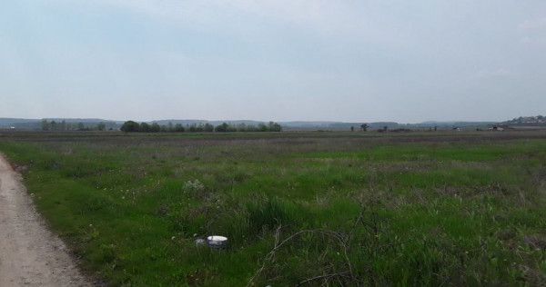 Teren extravilan, Cotofenii din Fata, jud Dolj -id 6954-0...