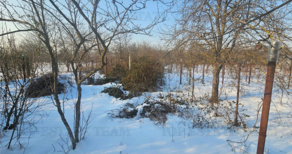 Teren 2600mp stradal casa batraneasca in Mihai Voda Giurgi