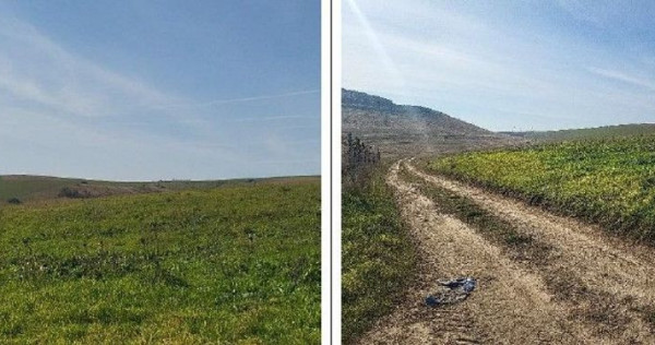 Teren extravilan sat Mineri, ID: R2376975