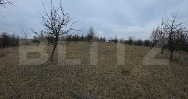 Teren extravilan de vanzare, 900 mp, Bistrita