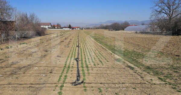 Teren intravilan de vanzare, 4550 mp, în zona Sântuhalm